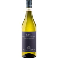 GAVI DOCG DEL COMUNE DI GAVI 2022 750ML PALLADINO