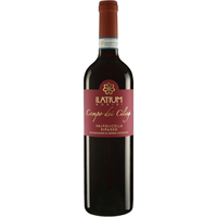 VALPOLICELLA RIPASSO SUPERIORE DOC CAMPO AI CILIEGI 2018 750ML ILATIUM MORINI