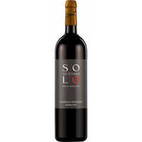 SOLO ACCIAIO IGT TOSCANA ROSSO 2022 750ML FAGNANI